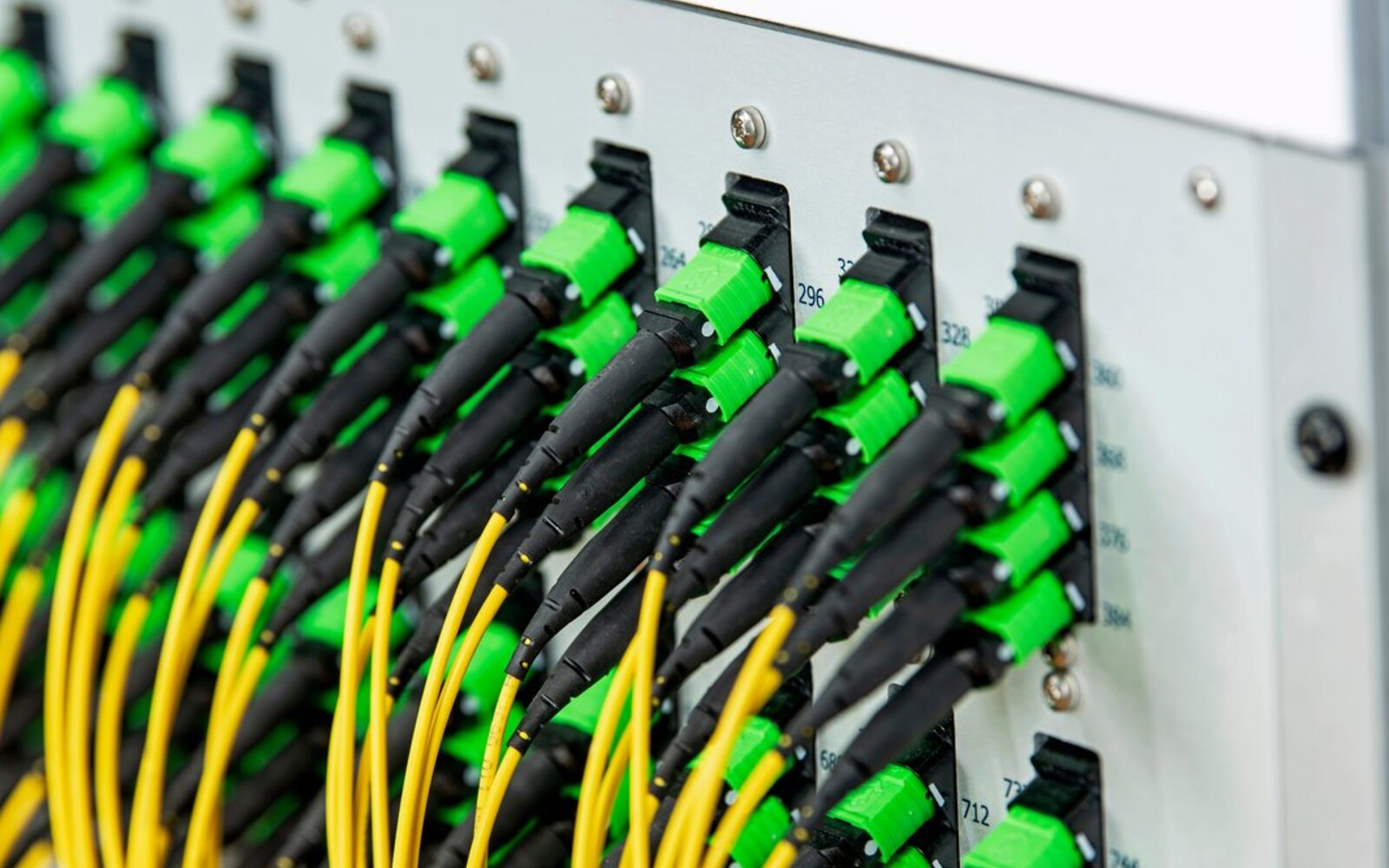 Fibre connectors in a patch panel, yellow and green cabling